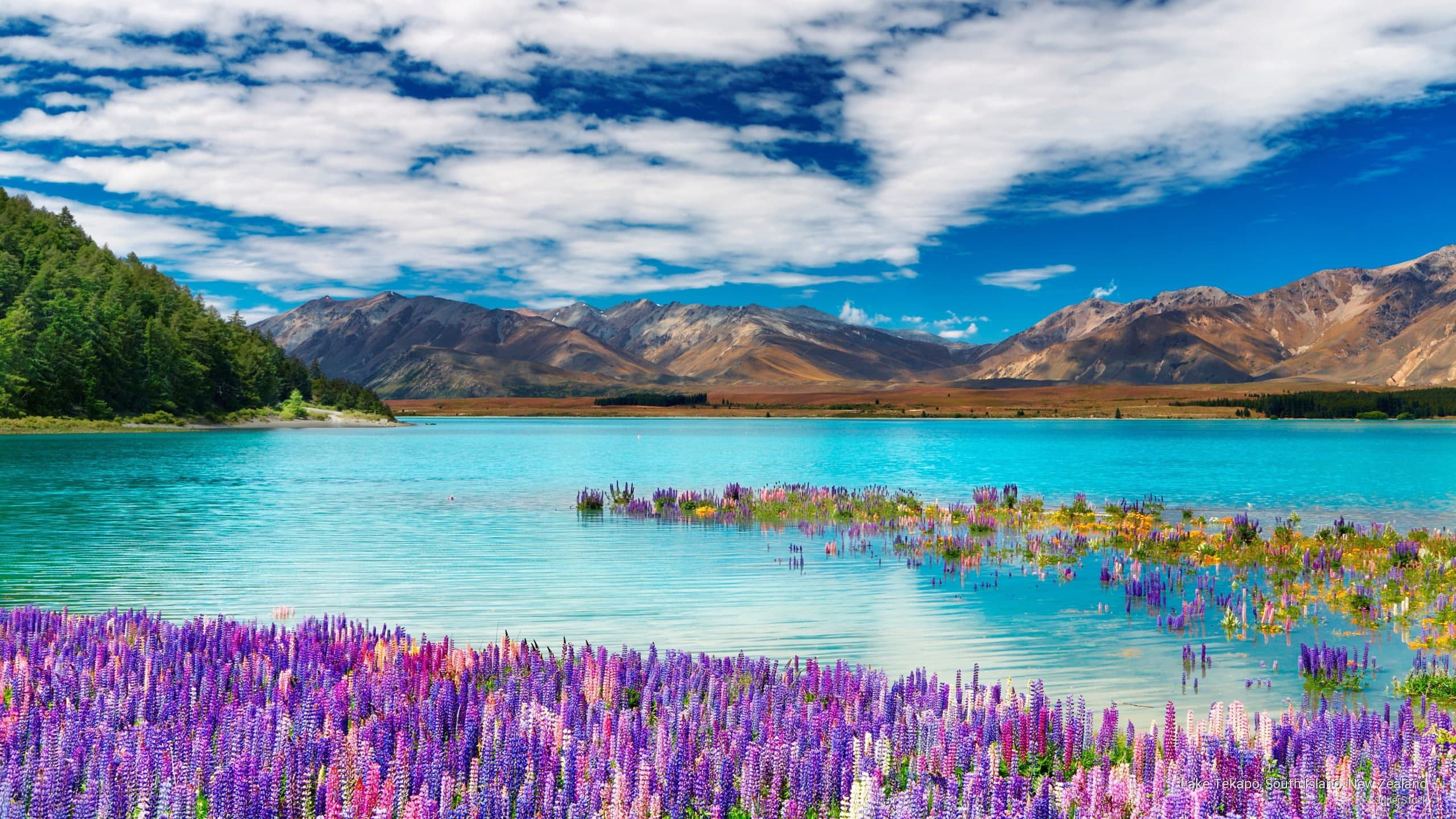 New Zealand